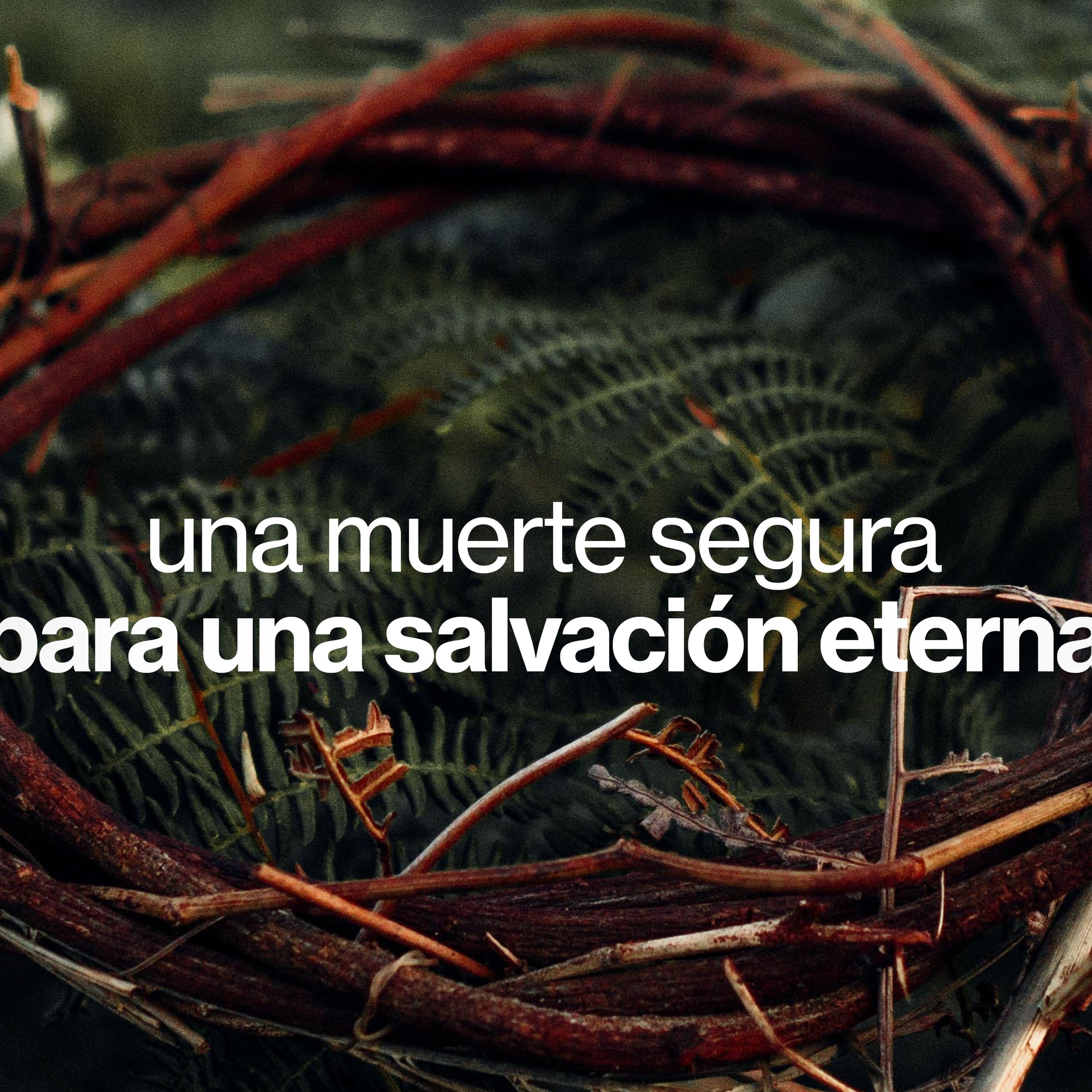 Una Muerte Segura Para Una Salvación Eterna episode artwork