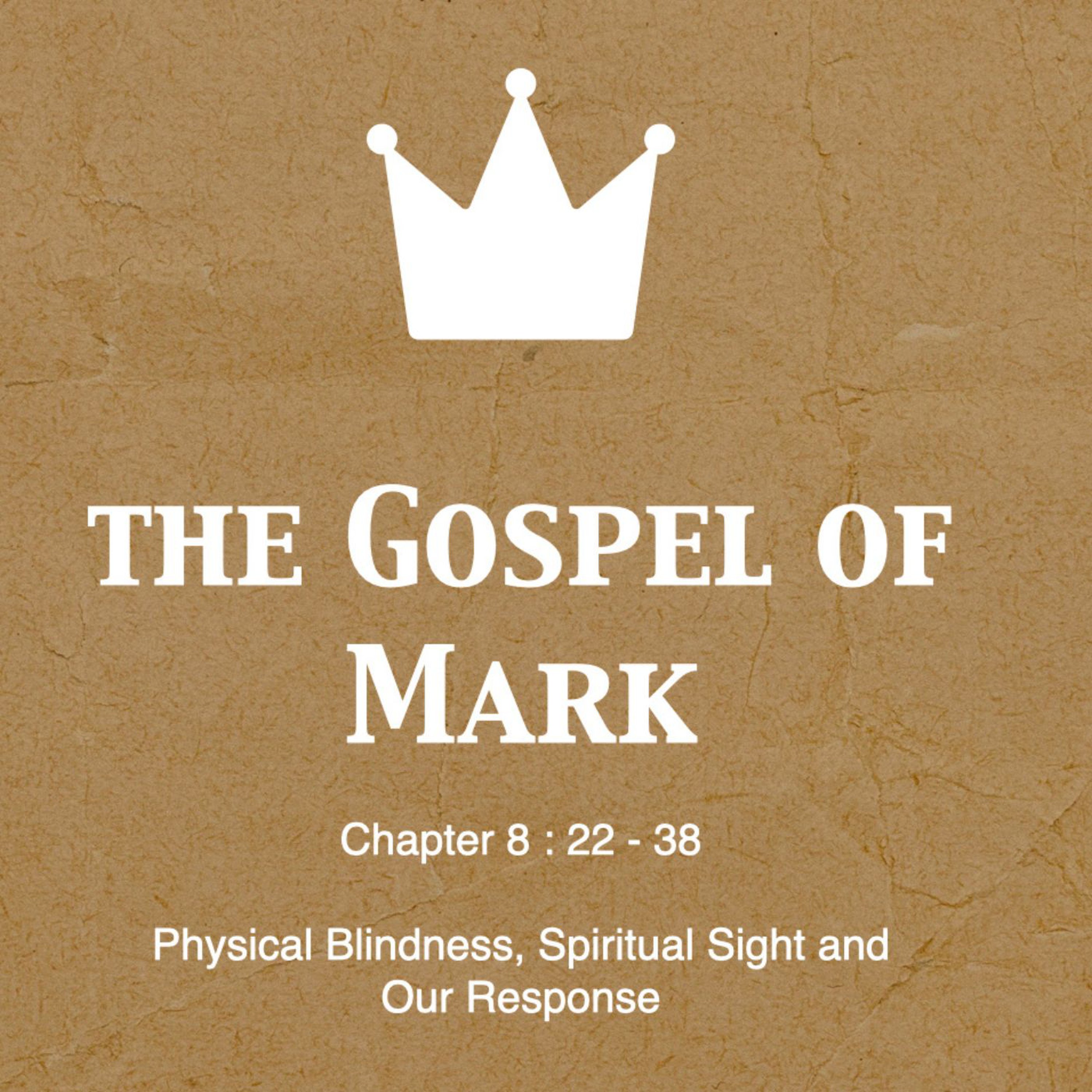 Physical Blindness, Spiritual Sight and Our Response episode artwork