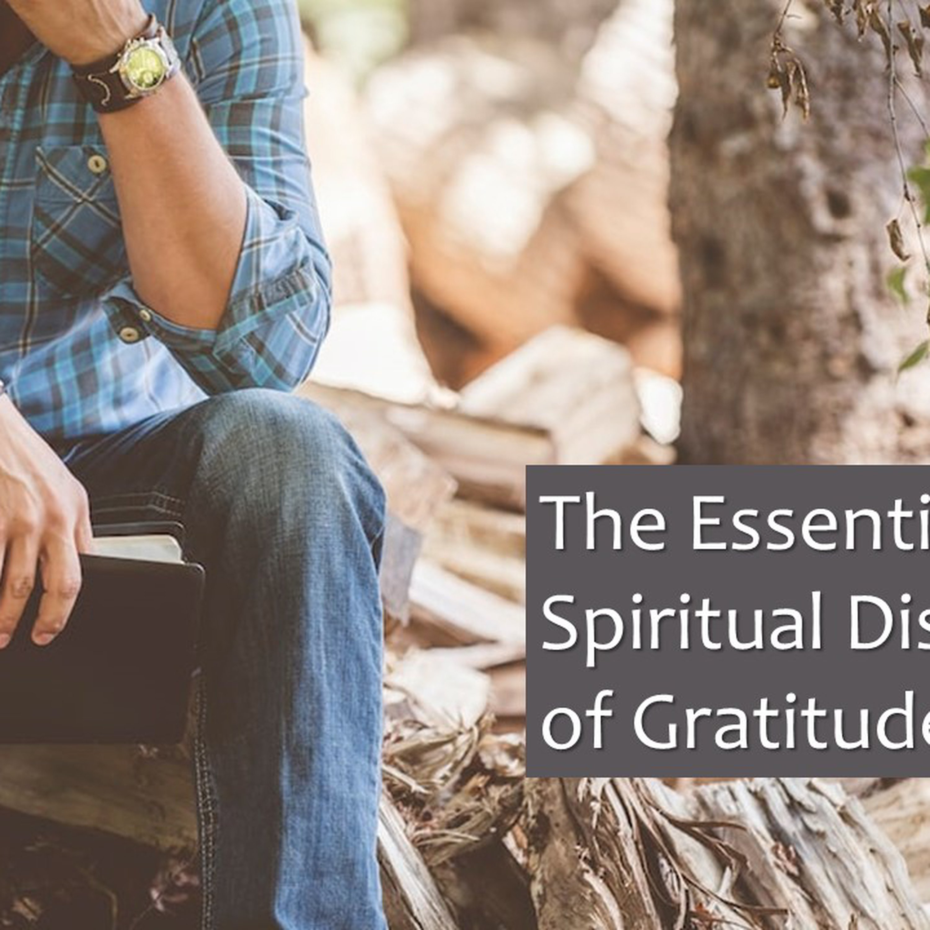The Essential Spiritual Discipline of Gratitude episode artwork