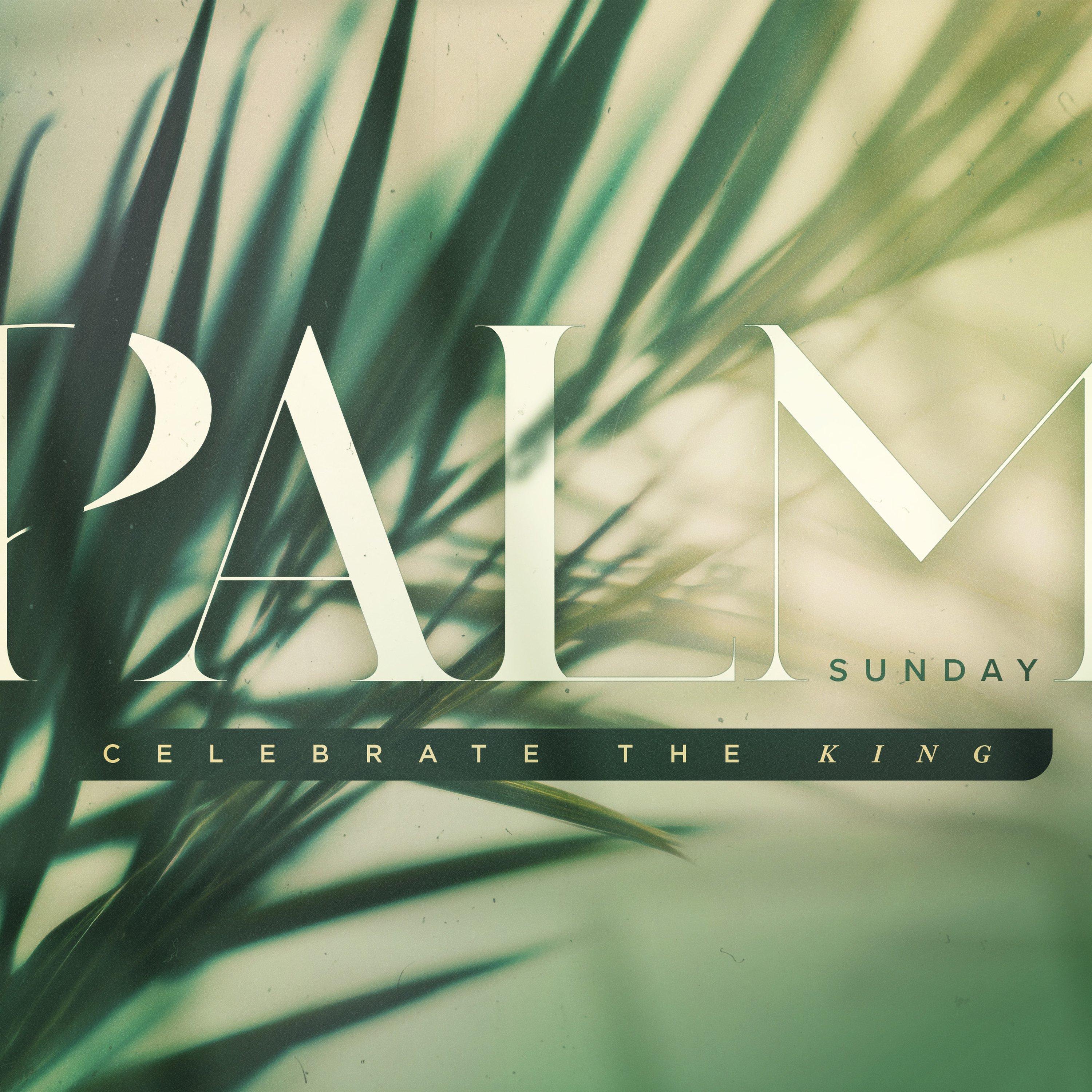 Palm Sunday Promises episode artwork