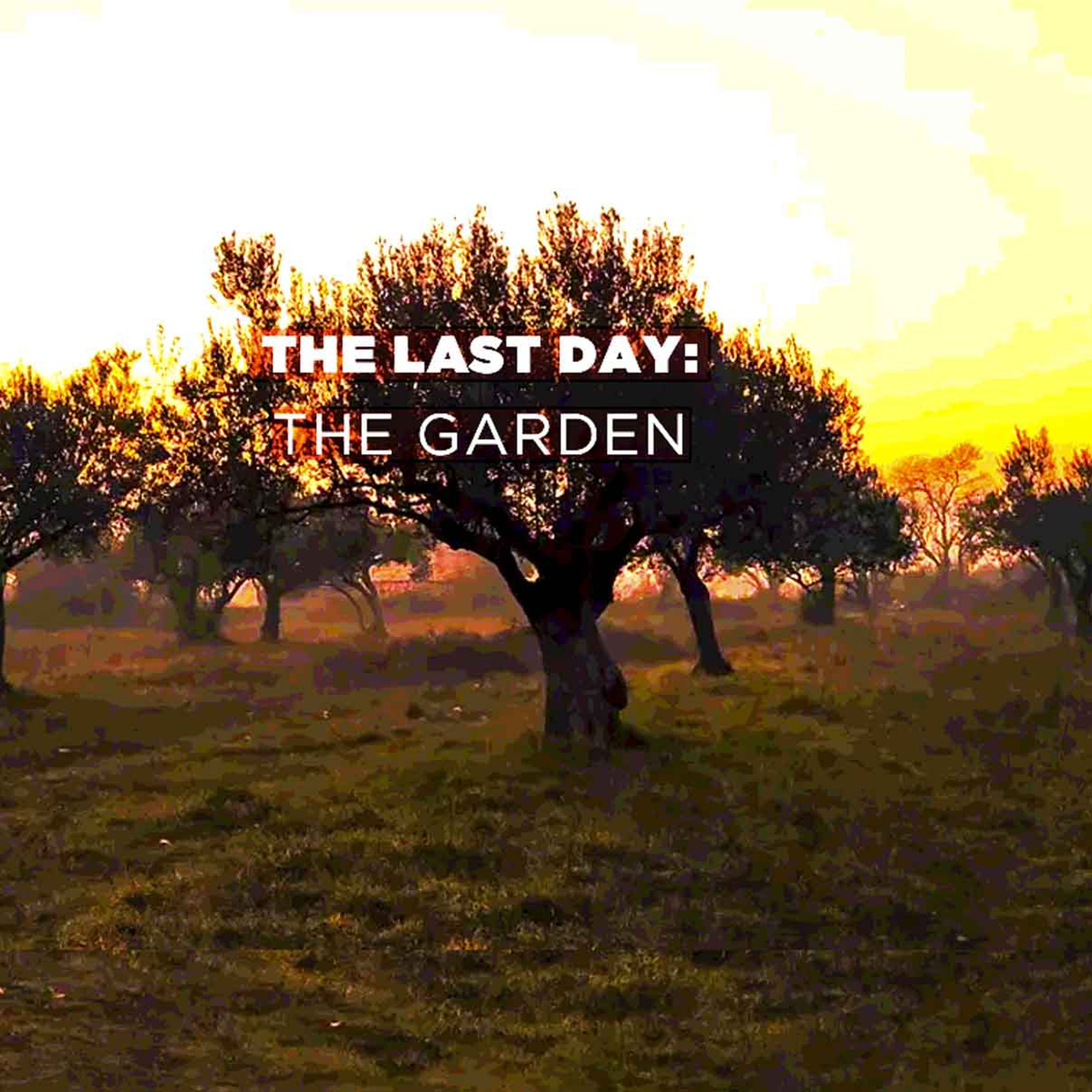 The Last Day: The Garden