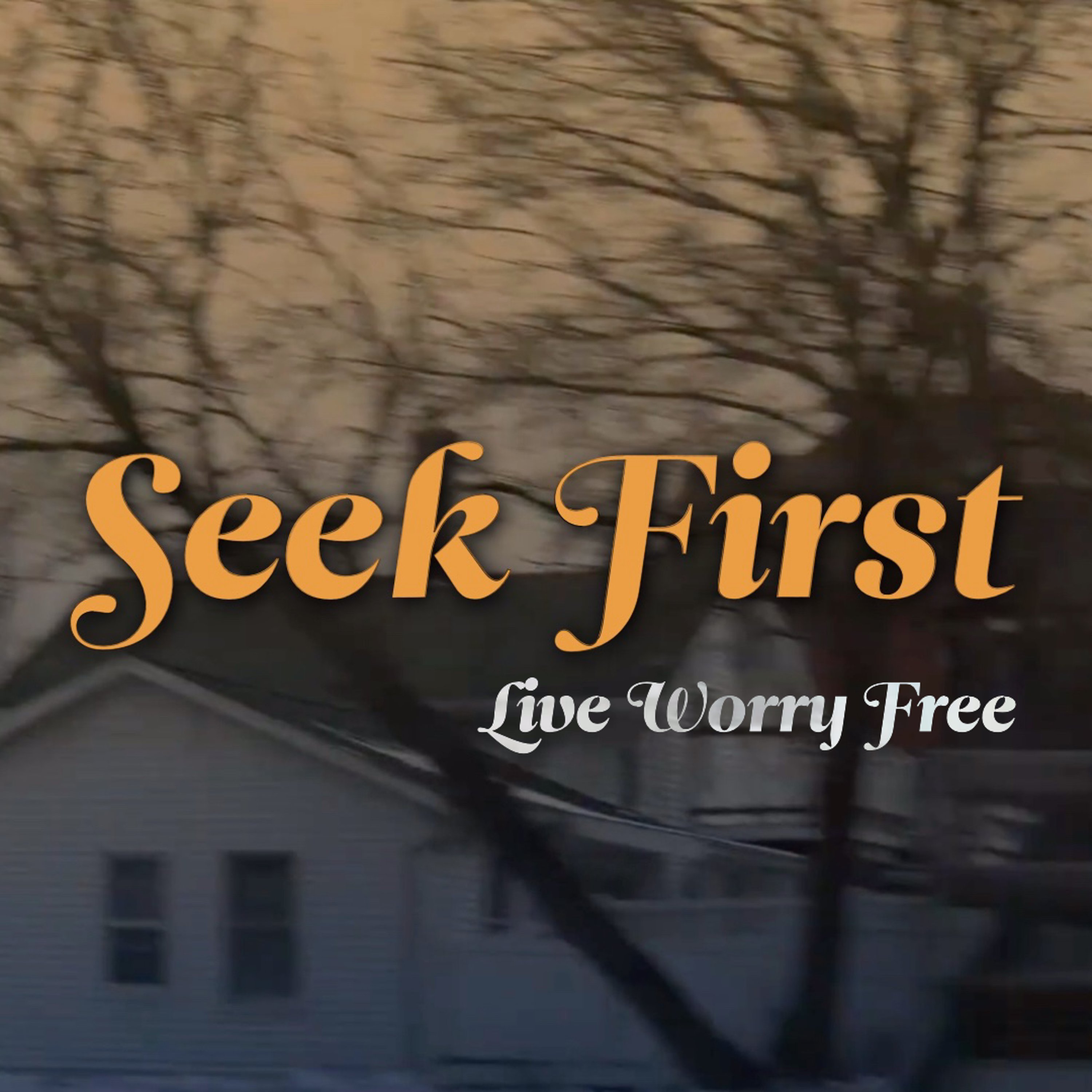 LIVE WORRY FREE | Seek First Week 4 episode artwork