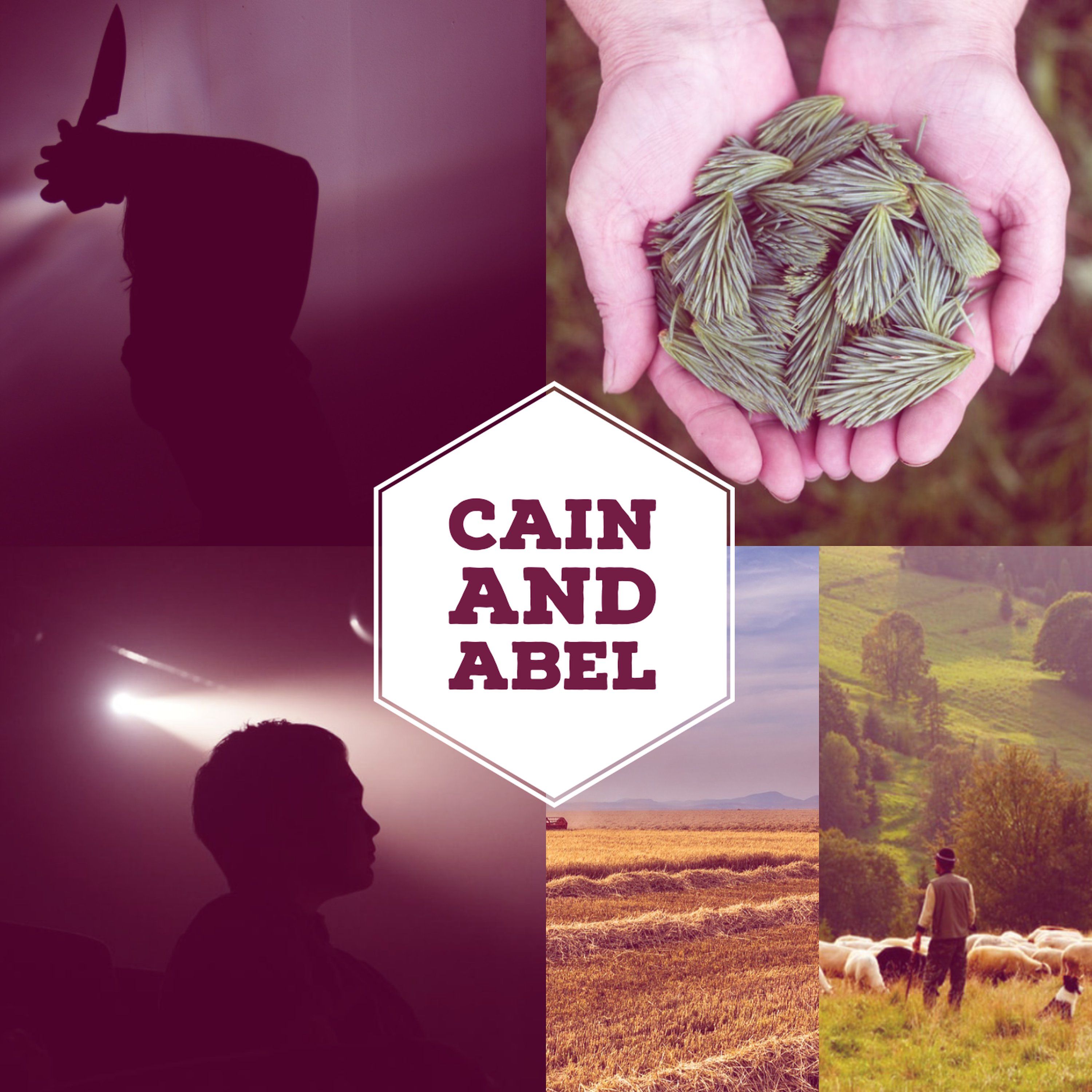 Cain and Abel episode artwork