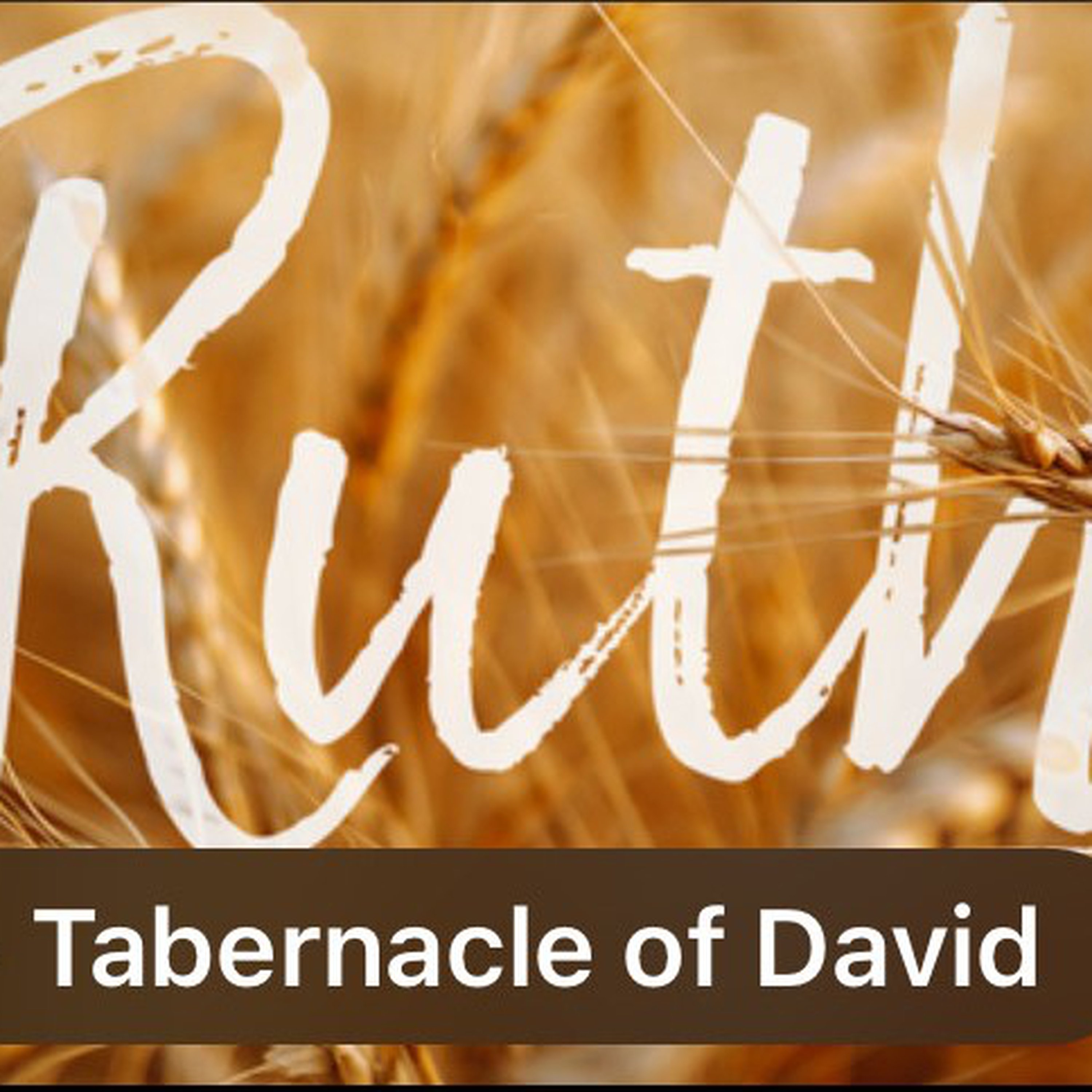 Ruth - Tabernacle of David episode artwork