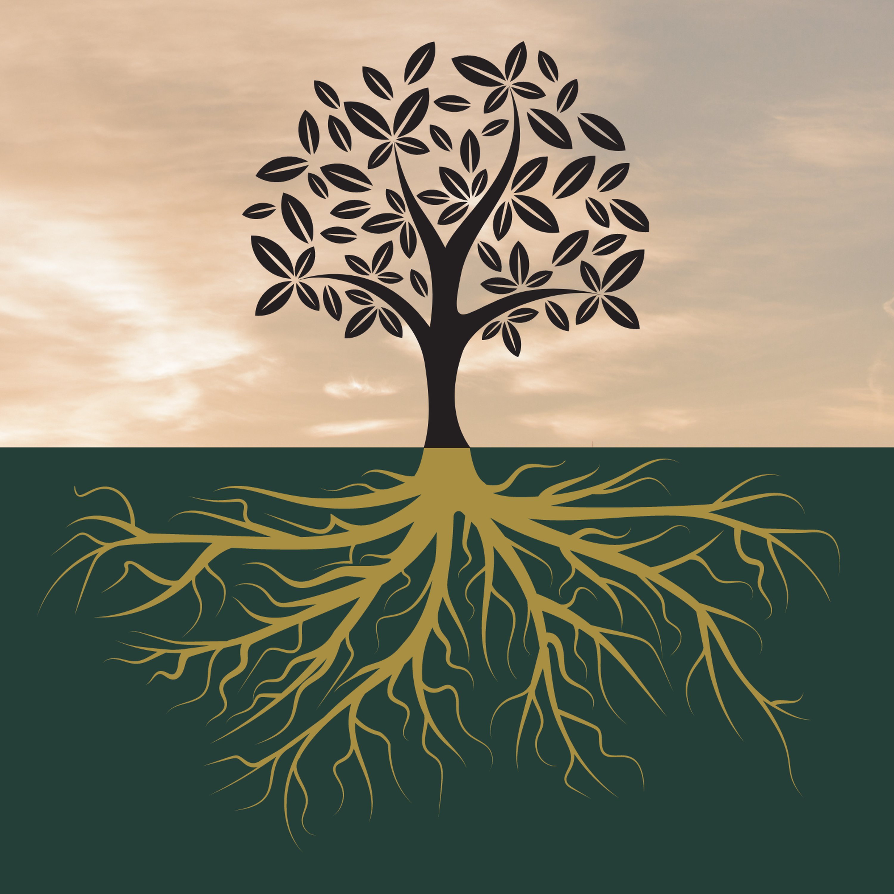 Colossians 3:1-11 Andrew Rees (9:30am & 6pm) episode artwork